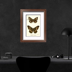 «Butterflies 100» в интерьере кабинета в черных цветах над столом
