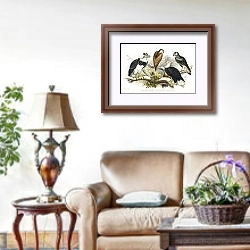 «Белоголовый морской орел, большой гарпийский орел, чилийский морской орел и бразильский орел каракара» в интерьере гостиной в стиле прованс