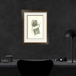 «Tuberculated Ray, Eglantine Ray 1» в интерьере кабинета в черных цветах над столом