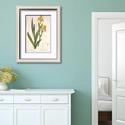 «Iris flavescens Delie in Redoute» в интерьере коридора в стиле прованс в пастельных тонах
