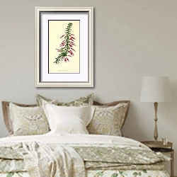 «Styphelia Tubiflora» в интерьере спальни в стиле прованс над кроватью