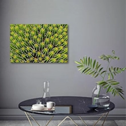 «Кактус Euphorbia Echinus » в интерьере современной гостиной в серых тонах