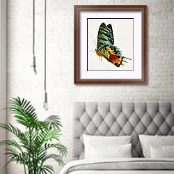 «Мадагасканская закатная бабочка (Урания Рифей)» в интерьере спальни в скандинавском стиле над кроватью