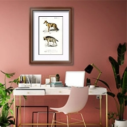 «Золотой шакал (Canis Aureus) и полосатая гиена (Hyene rayee)» в интерьере современного кабинета в розовых тонах