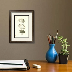 «Cytherea Dronea, Tellina Guildfordiae, Anadon Georginae» в интерьере кабинета с бежевыми стенами над столом