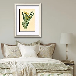 «Dark-Flowered Witsenia [Witsenia Maura]» в интерьере спальни в стиле прованс над кроватью