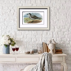 «White throated Grey Petrel» в интерьере в стиле прованс над столиком