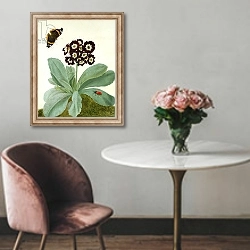 «Primula Auricula with Butterfly and Beetle» в интерьере в классическом стиле над креслом
