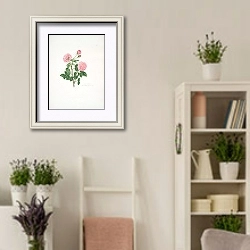 «Rosa centifolia8» в интерьере комнаты в стиле прованс с цветами лаванды
