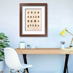 «Insecta Coleoptera Pl 023» в интерьере кабинета в современном стиле