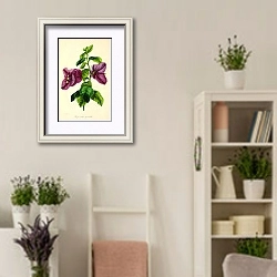 «Bugainvillaea Apectabilis» в интерьере комнаты в стиле прованс с цветами лаванды