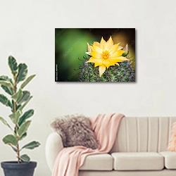 «Цветение кактуса» в интерьере современной светлой гостиной над диваном