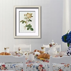 «Rosa Centifolia Mutabilis» в интерьере столовой в стиле прованс над столом