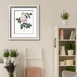 «Индийская роза нежно-розового цвета» в интерьере комнаты в стиле прованс с цветами лаванды