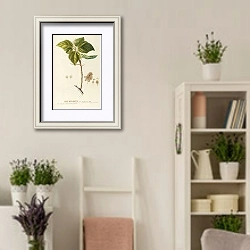 «Heliocarpus» в интерьере комнаты в стиле прованс с цветами лаванды