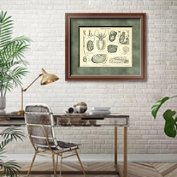 «Моллюски и оболочники» в интерьере кабинета с кирпичными стенами над столом