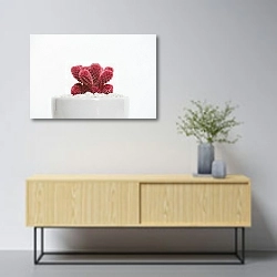«Красный кактус» в интерьере в скандинавском стиле над тумбой