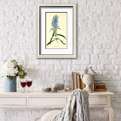 «Salvia Azurea» в интерьере в стиле прованс над столиком
