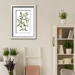 «Forest Pimelea» в интерьере комнаты в стиле прованс с цветами лаванды