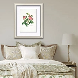 «Rosa damascena6» в интерьере спальни в стиле прованс над кроватью