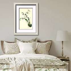 «Odontoglossum Cervantesii» в интерьере спальни в стиле прованс над кроватью