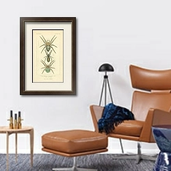 «Epeira diadema Fem, Epeira tubulosa Walck, Epeira agalena Hahn 1» в интерьере кабинета с кожаным креслом