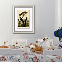 «1-Goshawk 2-Stanley Hawk» в интерьере столовой в стиле прованс над столом