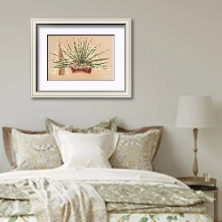 «Agave schidigera» в интерьере спальни в стиле прованс над кроватью