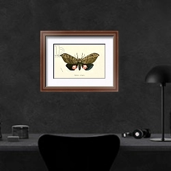 «Butterflies 115» в интерьере кабинета в черных цветах над столом