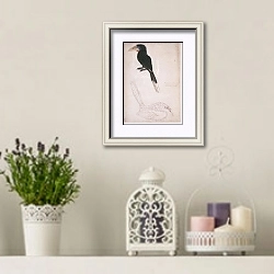 «Rufous -necked Hornbill (female)» в интерьере в стиле прованс с лавандой и свечами