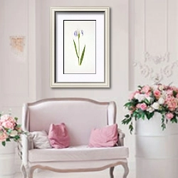 «Iris laevigata var. albopurpurea» в интерьере гостиной в стиле прованс над диваном