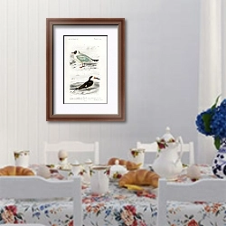 «Разные виды птиц 4» в интерьере столовой в стиле прованс над столом