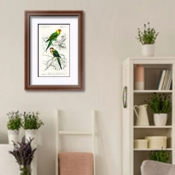 «Разные виды попугаев» в интерьере комнаты в стиле прованс с цветами лаванды