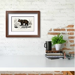«Бурый медведь (Ursus Arctos) » в интерьере кабинета с кирпичной стеной