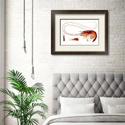 «Иллюстрация креветок из результатов научных кампаний Альберта I, принца Монако (1848-1922)» в интерьере спальни в скандинавском стиле над кроватью