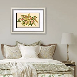 «Alternanthera amabilis tricolor» в интерьере спальни в стиле прованс над кроватью