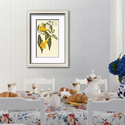 «Bignonia Uncata. Hooked-Tendrilled Trumpet-Flower» в интерьере столовой в стиле прованс над столом