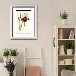 «Iris ibérica» в интерьере комнаты в стиле прованс с цветами лаванды
