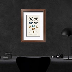 «Коллекция рисованых бабочек» в интерьере кабинета в черных цветах над столом