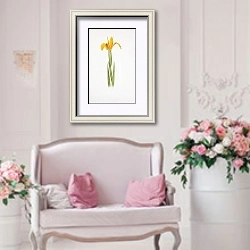 «Iris aurea» в интерьере гостиной в стиле прованс над диваном