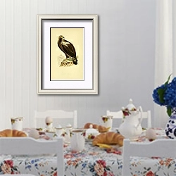 «Adalbert's Imperial Eagle» в интерьере столовой в стиле прованс над столом