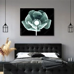 «Рентгеновское изображение цветка мака на черном» в интерьере современной спальни с черной кроватью