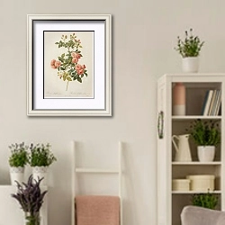 «Rosa Multiflora Carnea» в интерьере комнаты в стиле прованс с цветами лаванды