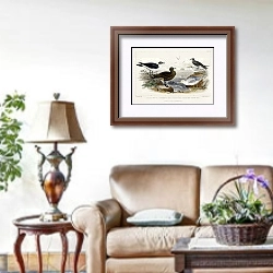 «Чернокрылая чайка, поморник Ричардсона, серая чайка, черная крачка и малая крачка» в интерьере гостиной в стиле прованс