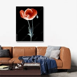 «Цветное рентгеновское изображение цветка мака на черном» в интерьере современной гостиной над диваном