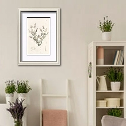 «Loose-flowered Selago» в интерьере комнаты в стиле прованс с цветами лаванды