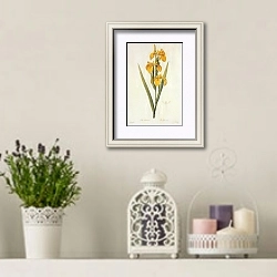 «Iris pseudacorus L» в интерьере в стиле прованс с лавандой и свечами