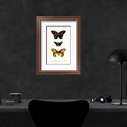 «Разные виды бабочек 3» в интерьере кабинета в черных цветах над столом