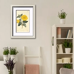 «Cenothera Glauca. Glaucous-Leaved Evening-Primrose» в интерьере комнаты в стиле прованс с цветами лаванды
