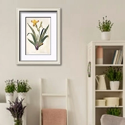 «Iris variegata L» в интерьере комнаты в стиле прованс с цветами лаванды